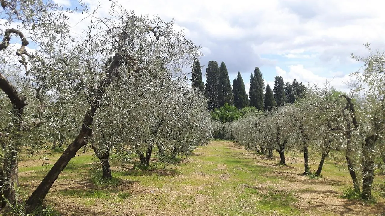 Farm stay Agriturismo Podere Sertofano Villa Barberino Val d'Elsa Italy